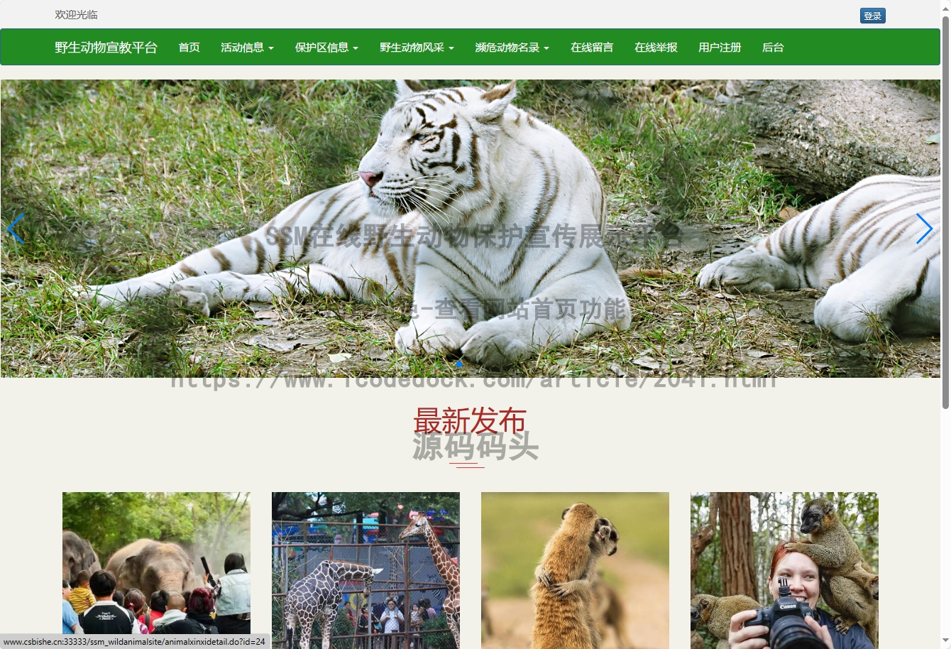 基于Spring+mybatis的SSM在线野生动物保护宣传展示平台代码实现含演示站