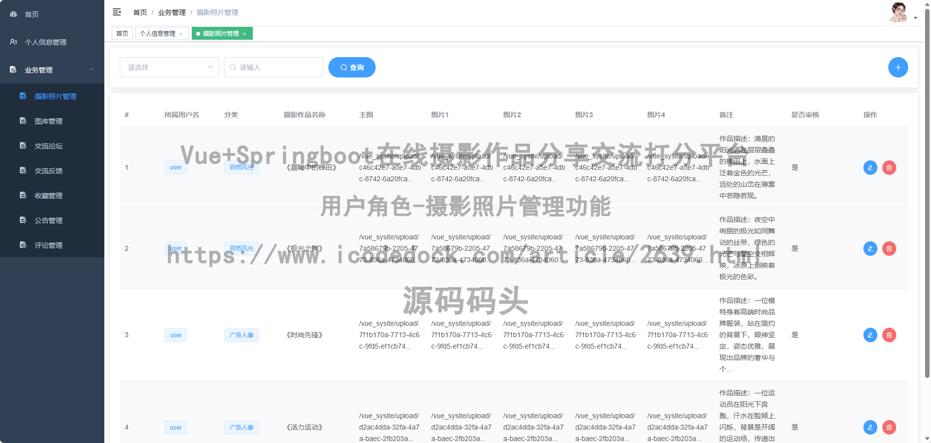 用户角色-摄影照片管理